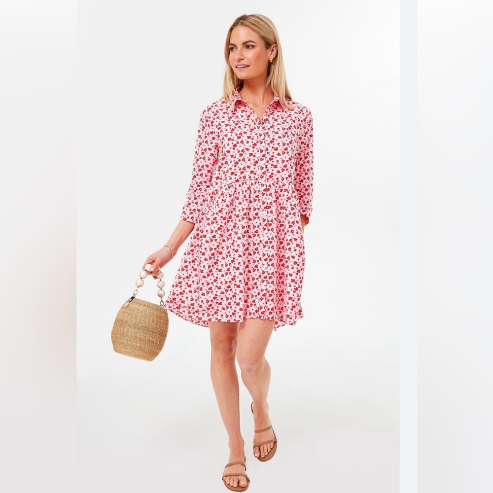 EUC Tuckernuck Hyacinth House Mini Dress XS